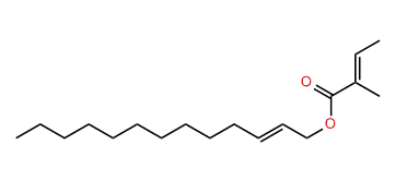 (E)-2-Tridecenyl (E)-2-methyl-2-butenoate